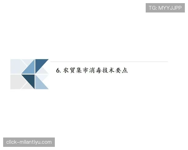 防守犯规判罚标准与裁判执法要点解析 防守犯规判罚标准与裁判执法要点解析